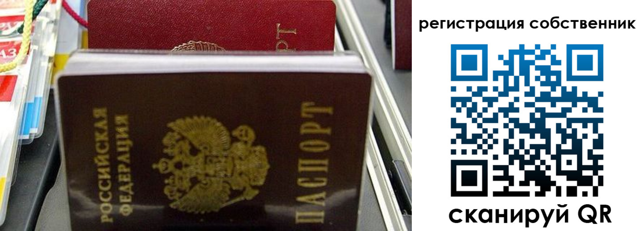 временная регистрация поиск в Змеиногорске